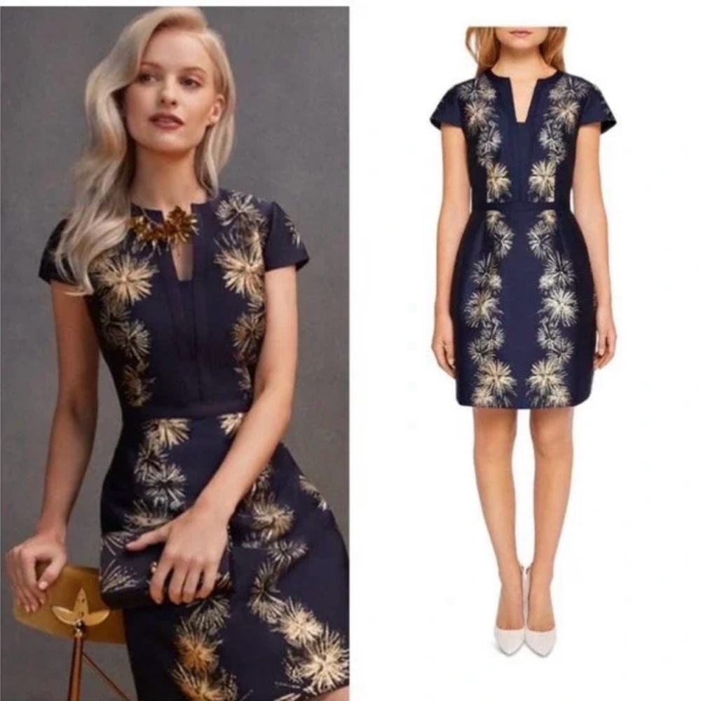 Ted Baker Tzalla Firework Dress